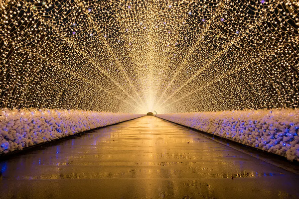 光の祭典「なばなの里イルミネーション」と日本最大級の商業リゾート”VISON”【新石切・八戸ノ里・近鉄八尾・久宝寺発】1